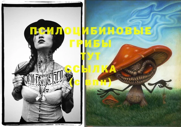 ГАЛЛЮЦИНОГЕННЫЕ ГРИБЫ Горняк