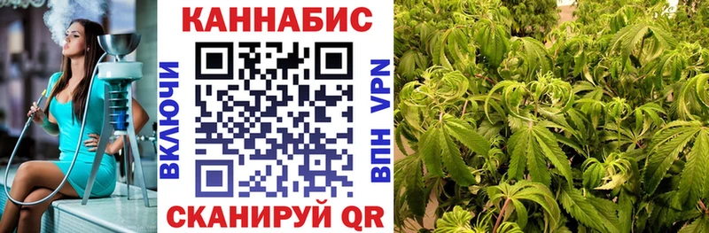 Бошки Шишки сатива  МЕГА tor  Болотное  сколько стоит 
